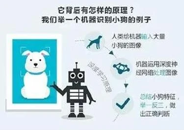 从深蓝到阿尔法狗 人机大战20年进化了什么？