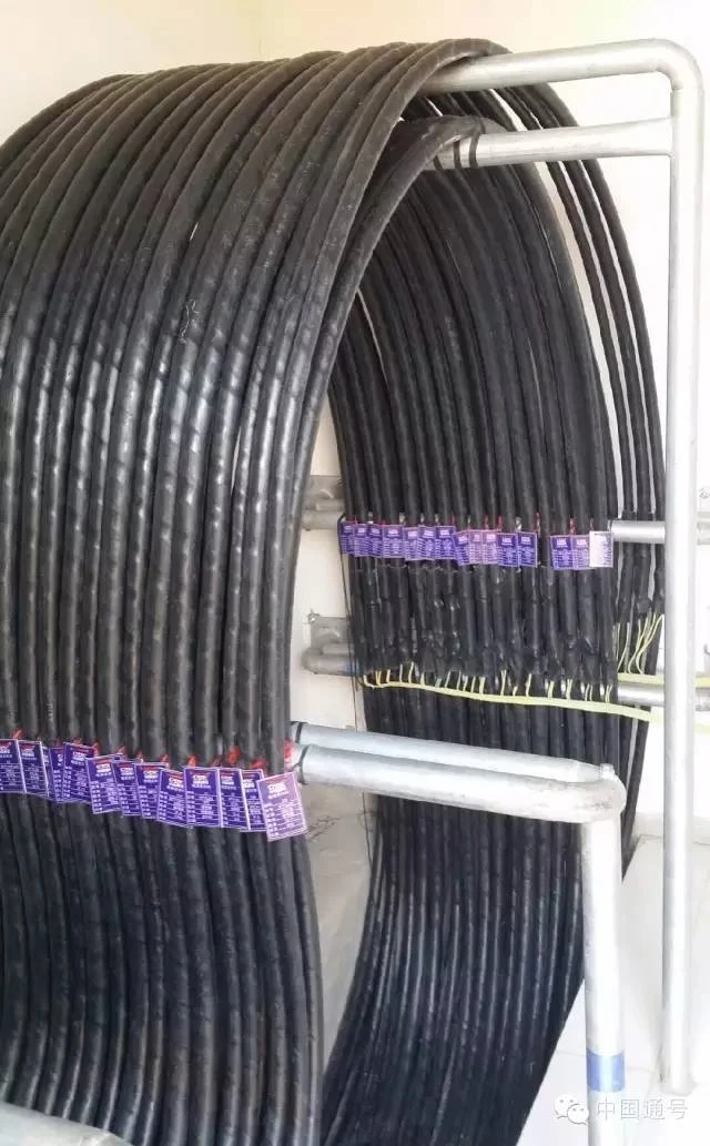 德国布线火遍网络？中国移动表示不服