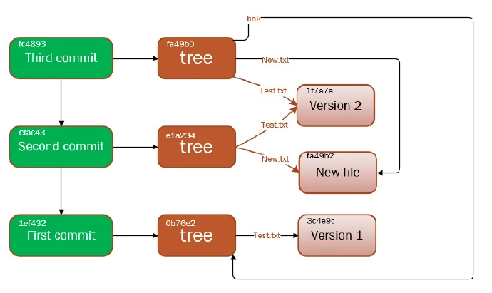 Git 的核心概念解读 