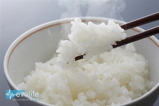 你妈妈用的电饭煲过时了吗？简谈电饭煲发展史