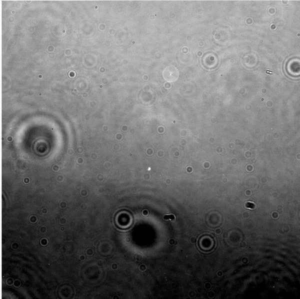 NASA发布薄雾掩盖下的土卫二照片