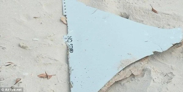 阴谋论者称南非海底有飞机残骸