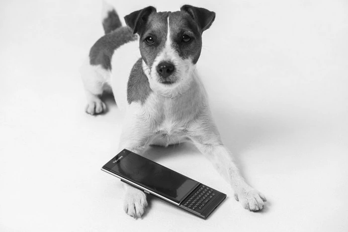 后来者居上，黑莓Priv明年可升Android 6.0 