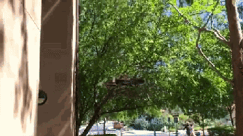 [动图+视频]新技术能让无人机像昆虫一样贴在墙面降落