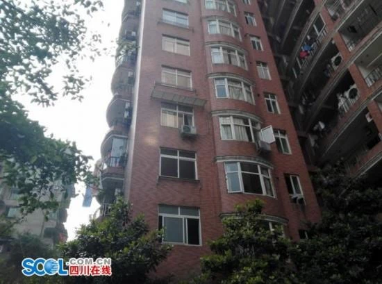 天上真的掉钱了 居然没人认领