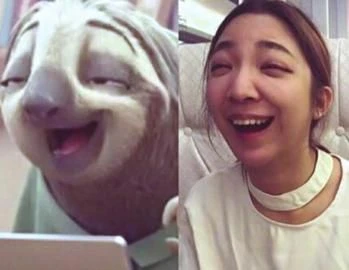 “树懒体”走红朋友圈 还能不能好好说话啦?