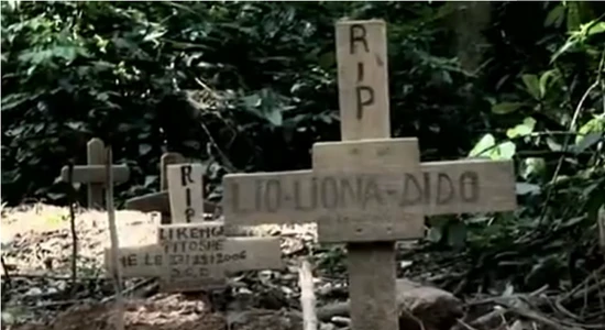 囚禁与杀戮：99%人不知道这手机里的惊人秘密