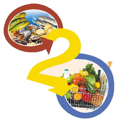 市场的商机无限 可生鲜电商真能度过生死劫？